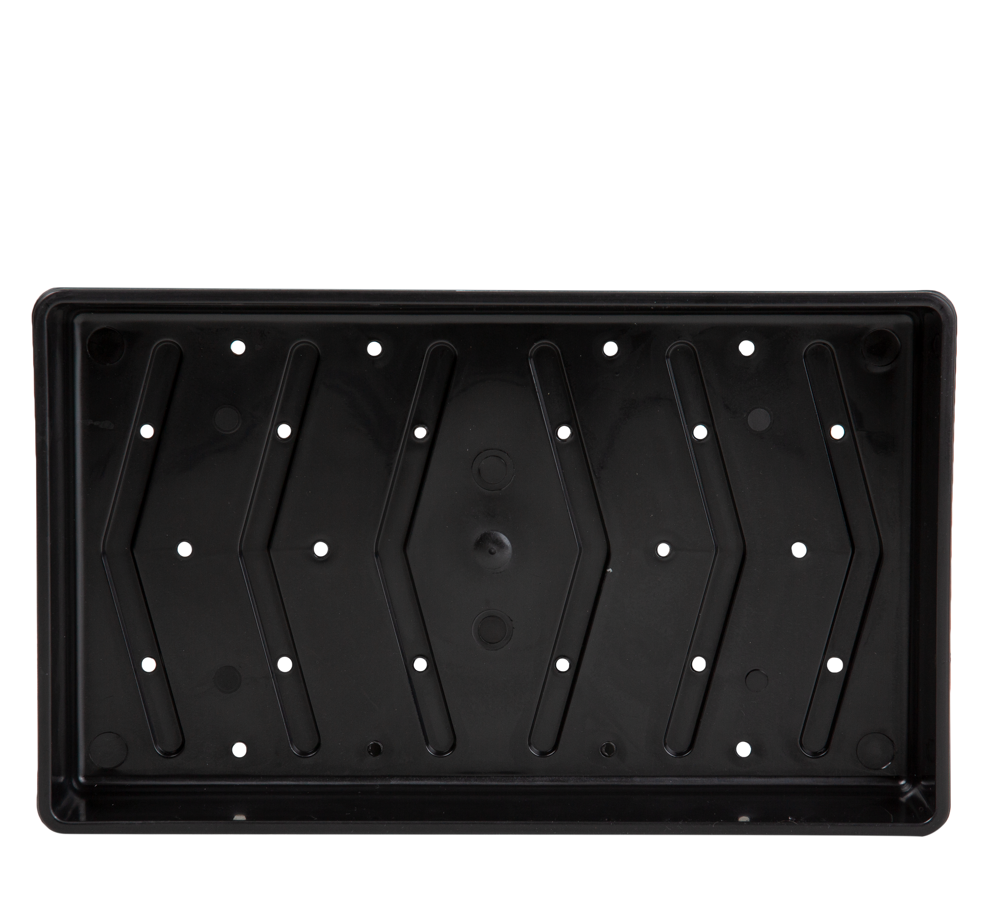 Traditional seed tray with drainage holes.