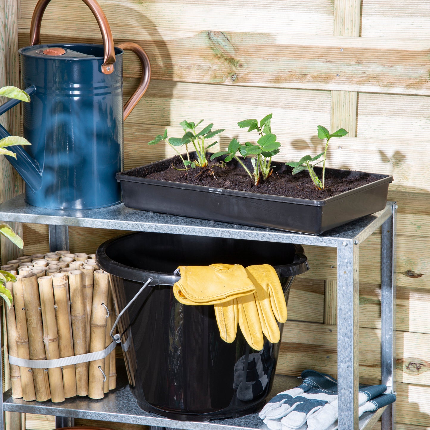 Wham Eden Seed Tray 38 x 22.5cm