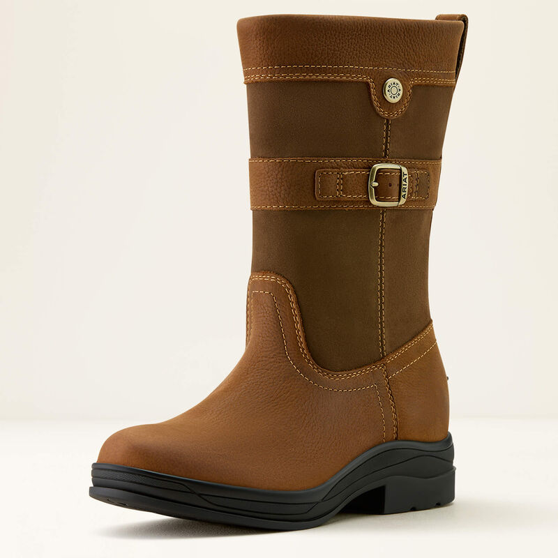 Ariat Bampton Waterproof Boot