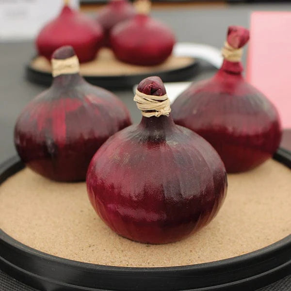 Fothergill's Onion Red Baron Seeds