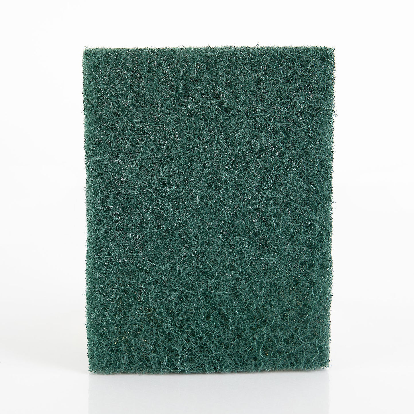 Eco Caterers Small Heavy Duty Scourer