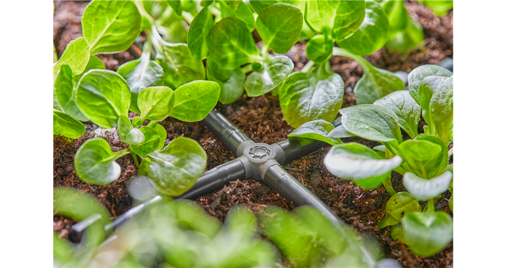 Gardena 4-Way Coupling 4.6 mm (3/16")