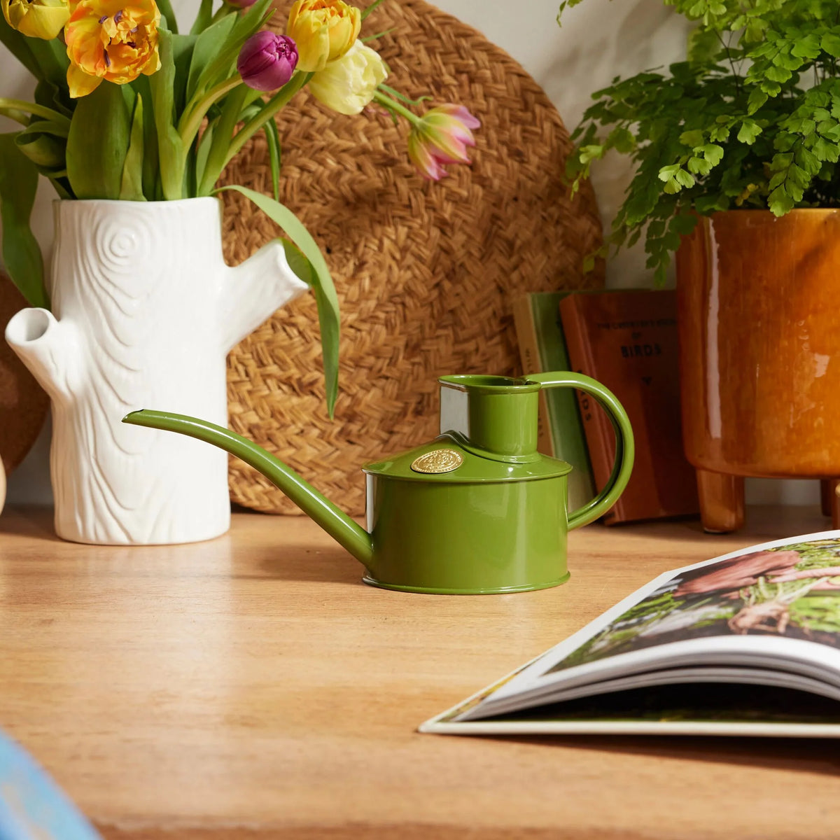 Haws The Fazeley Flow 0.5L metal watering can with long curved spout and loop handle
