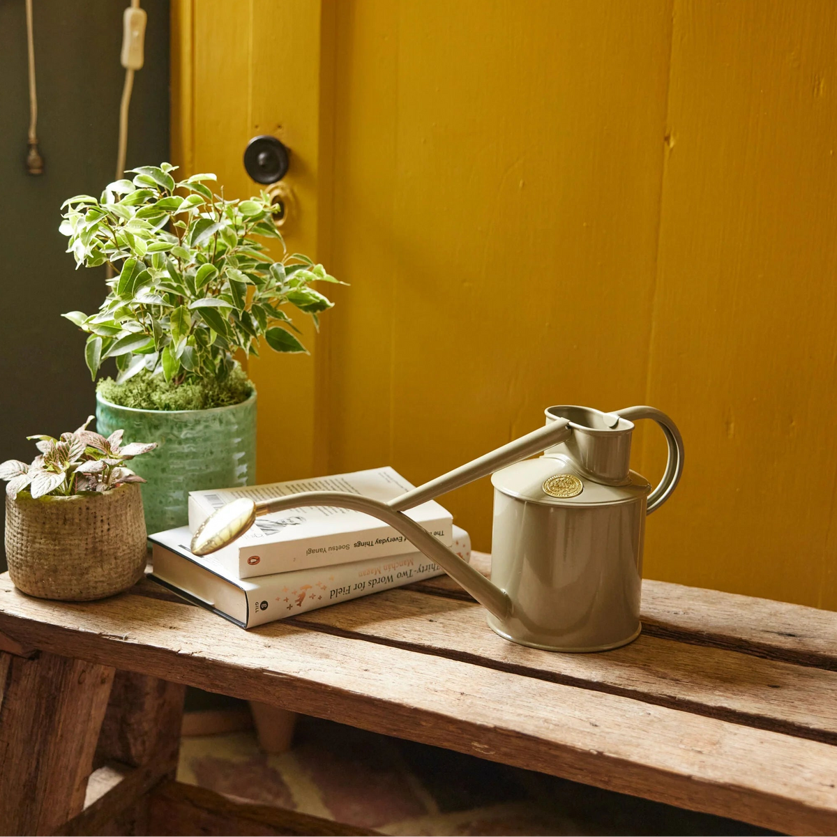 Haws The Rowley Ripple 0.5L metal watering can with long spout and removable brass rose