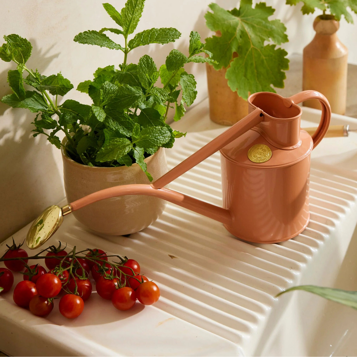 Haws The Rowley Ripple 0.5L metal watering can with long spout and removable brass rose
