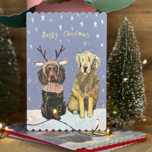 Alex Clark Antlers Doodles Christmas card pack of 5 showing an illustrated dog wearing antlers with white envelopes.