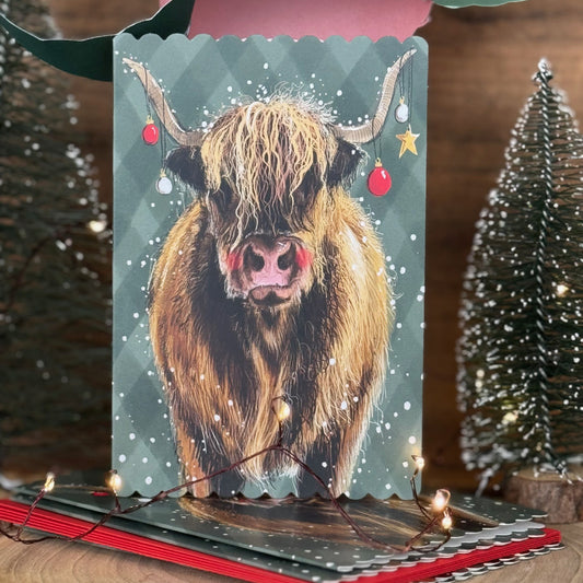 Alex Clark Christmas Highland Cow Doodles card pack of 5 showing an illustrated festive cow scene with white envelopes.