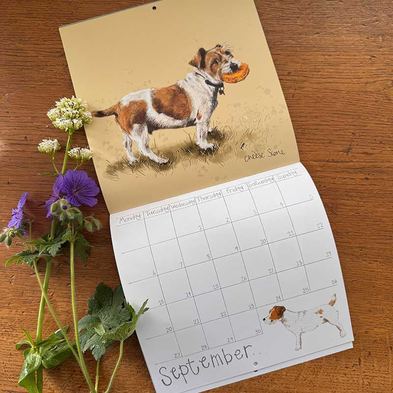 Alex Clark Delightful Dogs 2027 wall calendar featuring dog illustrations and monthly grid planner