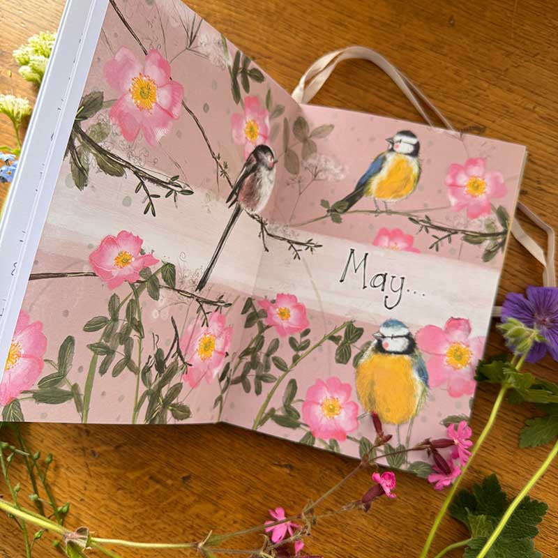 Alex Clark It's The Little Things In Life 2027 desk diary with week-to-view pages and animal illustrations