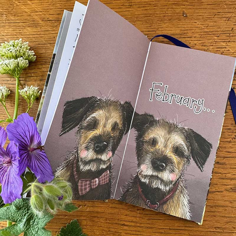 Alex Clark Delightful Dogs 2027 pocket diary with week-to-view layout and dog illustrations