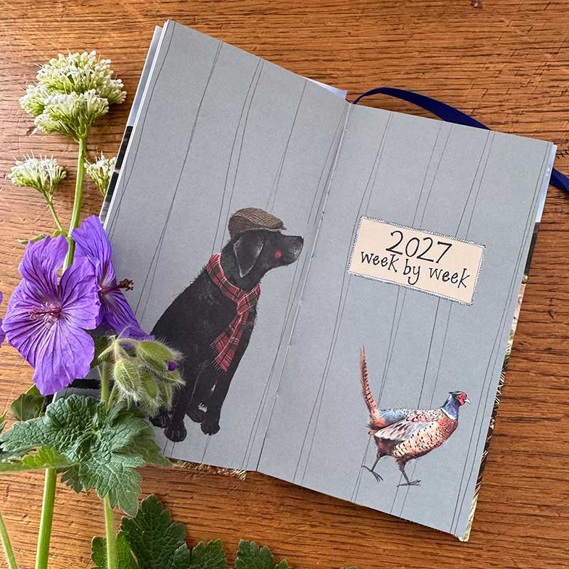 Alex Clark Delightful Dogs 2027 pocket diary with week-to-view layout and dog illustrations