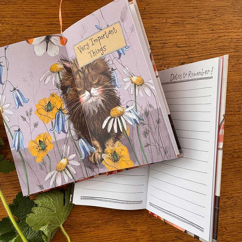 Alex Clark Charismatic Cats 2027 pocket diary with week-to-view layout and cat illustrations