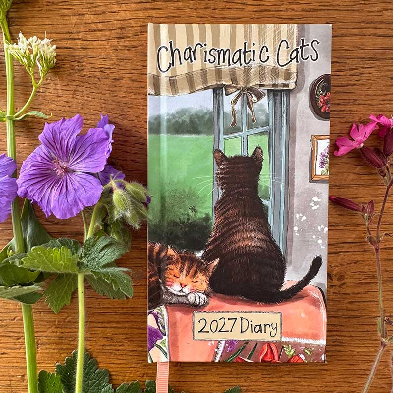 Alex Clark Charismatic Cats 2027 pocket diary with week-to-view layout and cat illustrations