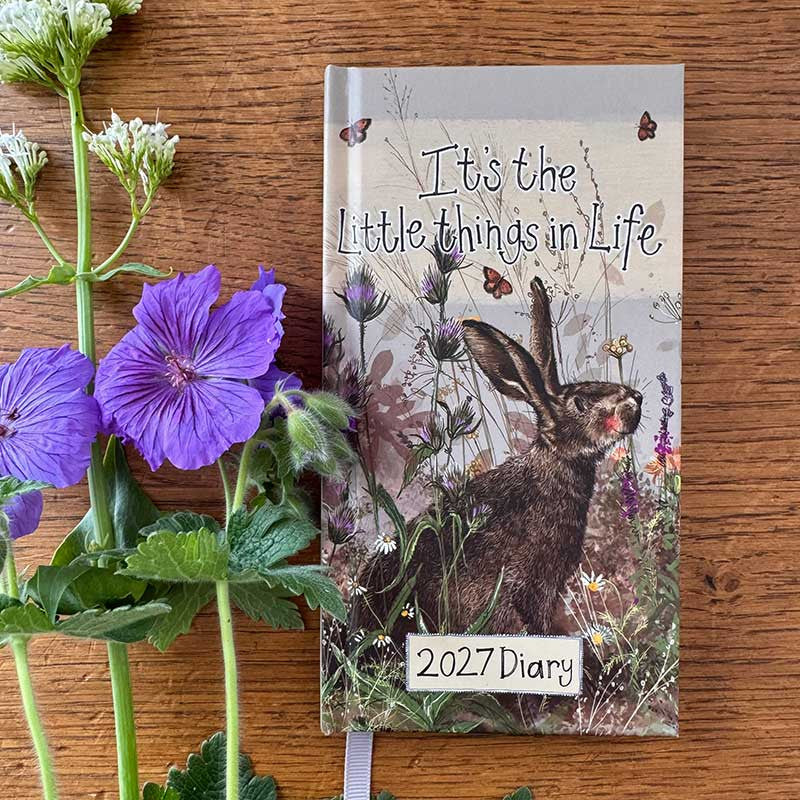 Alex Clark It's The Little Things In Life 2027 pocket diary with week-to-view layout and animal illustrations