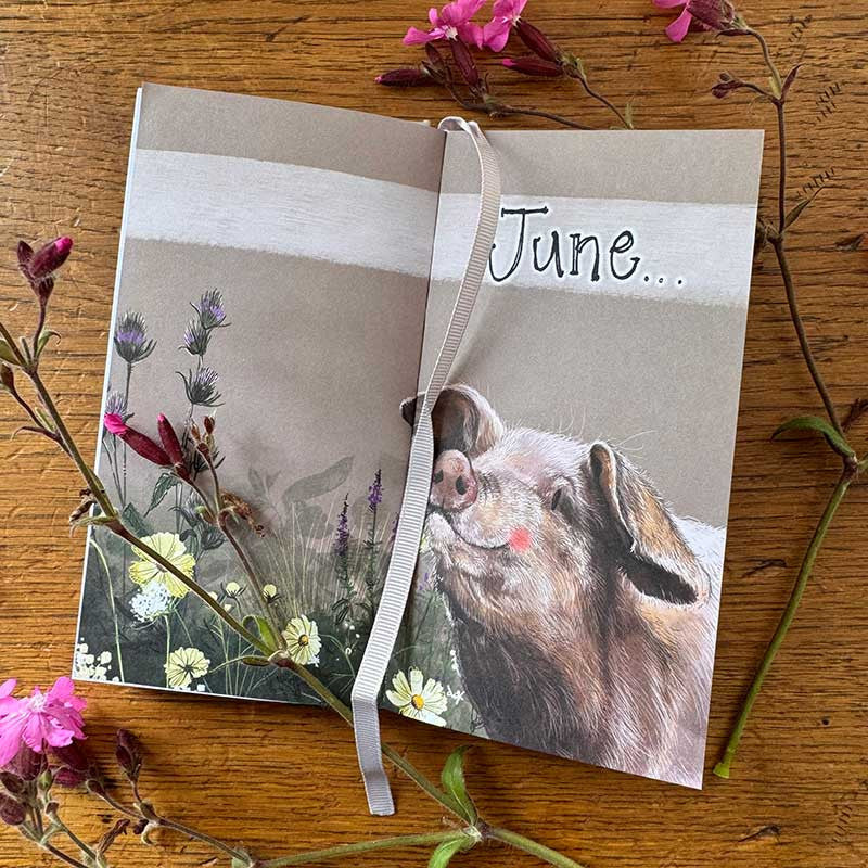 Alex Clark It's The Little Things In Life 2027 pocket diary with week-to-view layout and animal illustrations