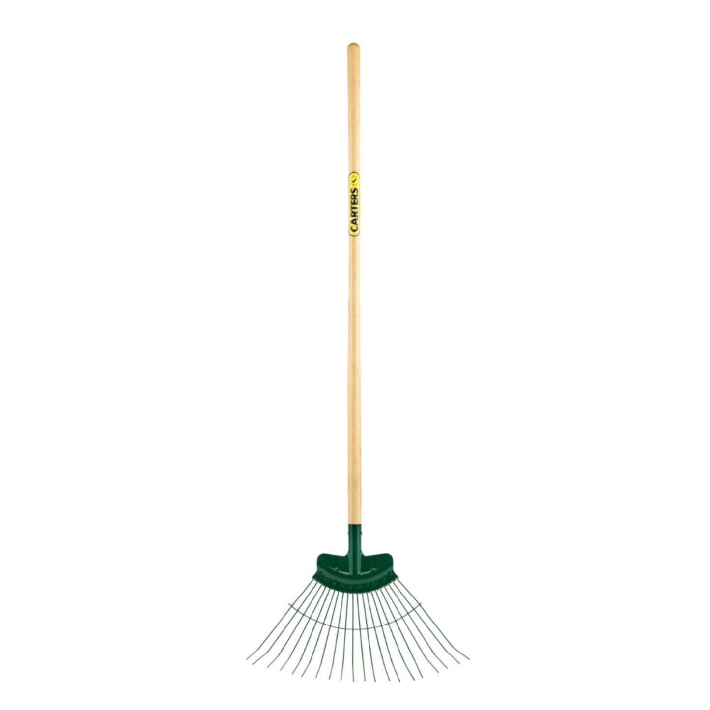 Carters Rake Professional 20 Tine Spring Lawn x 48" Ash Plain