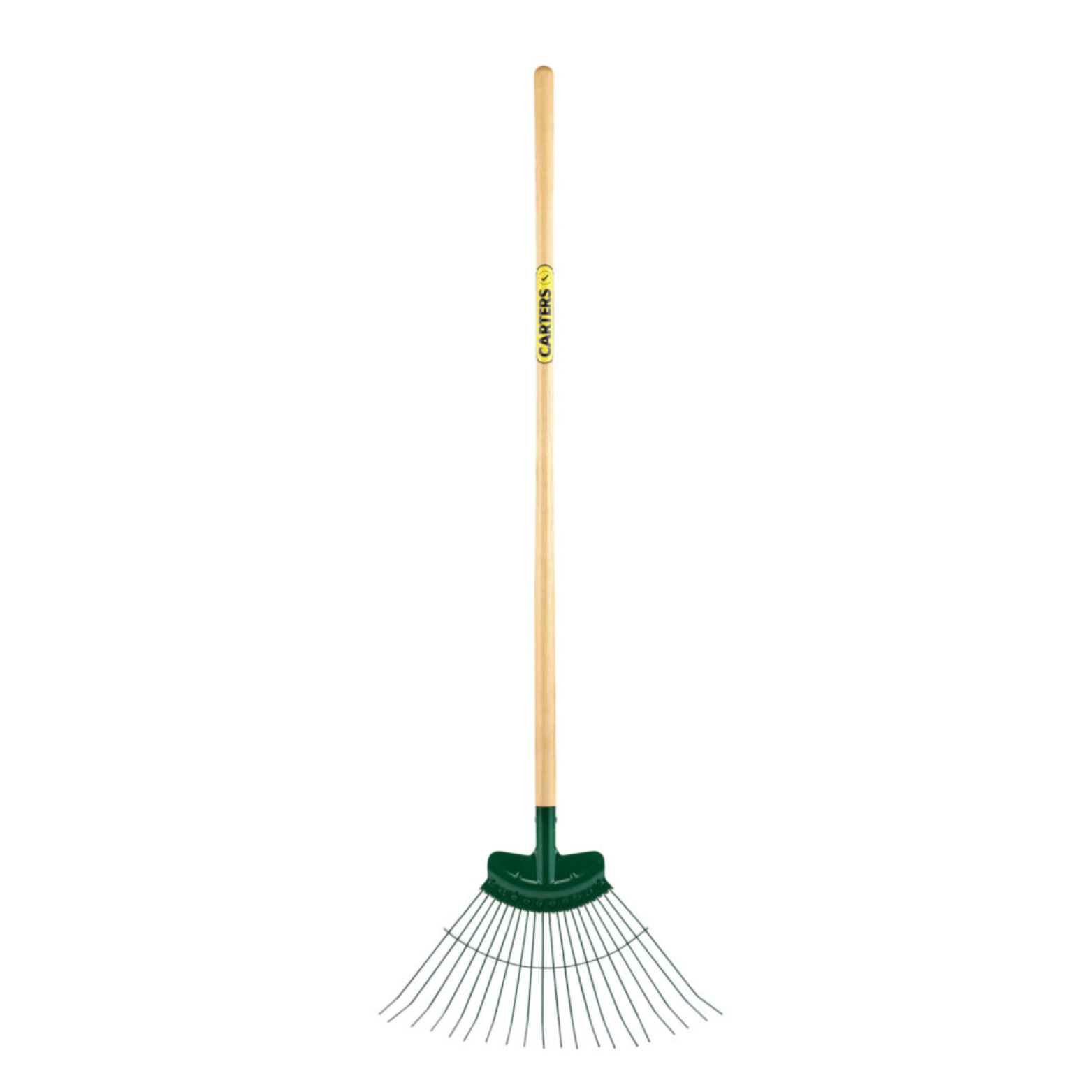 Carters Rake Professional 20 Tine Spring Lawn x 48" Ash Plain