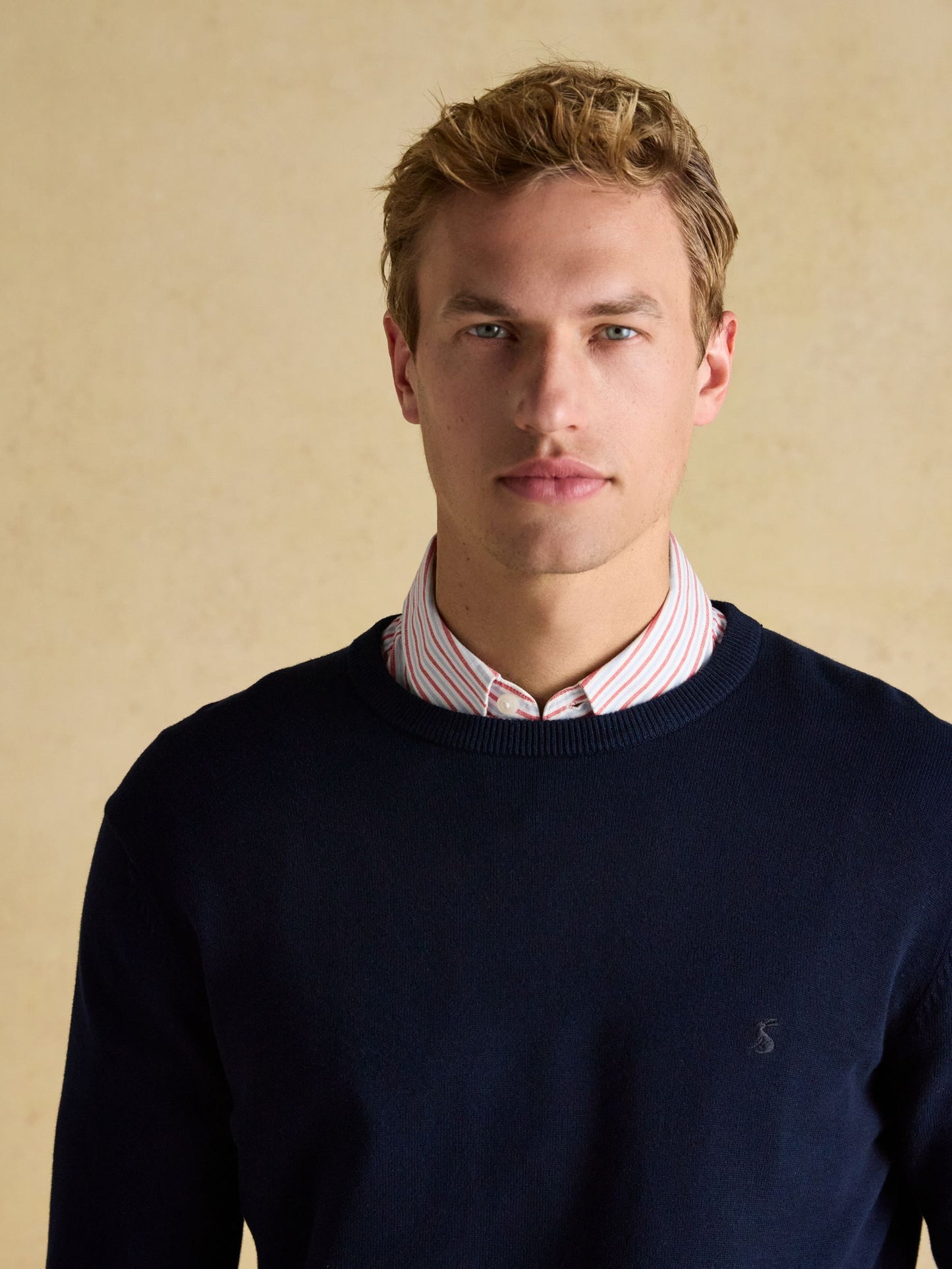 Joules Hillside Crew Neck Jumper