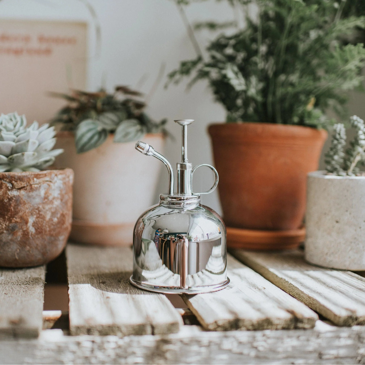 Haws The Smethwick Spritzer polished brass plant mister with press plunger pump