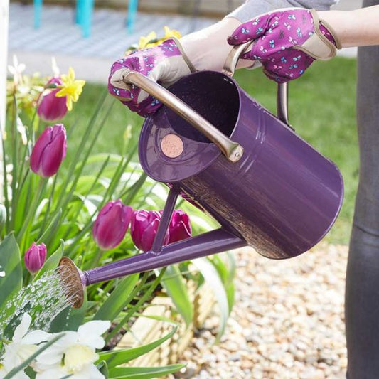 GroZone Metal Watering Can 4.5L Violet