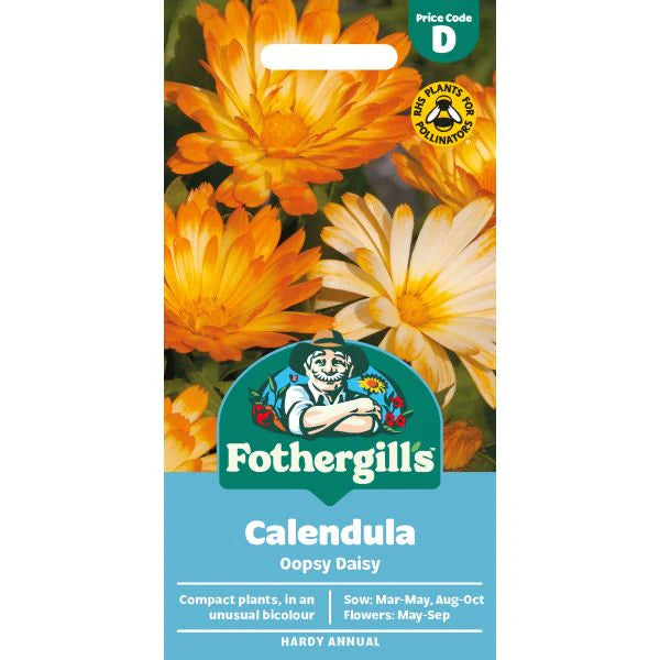 Fothergill's Calendula Oopsy Daisy Seeds