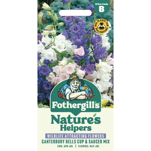 Fothergill's Canterbury Bells Cup & Saucers Seeds