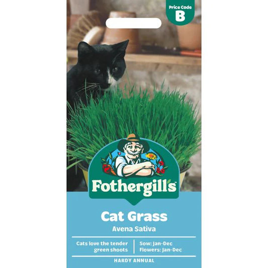 Fothergill's Cat Grass Seeds