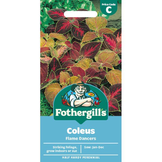 Fothergill's Coleus Flame Dancers Seeds