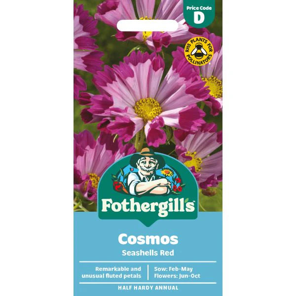 Fothergill's Cosmos Seashells Red Seeds