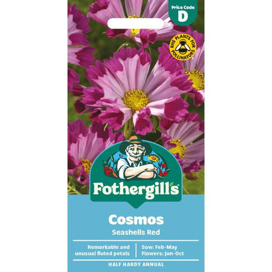 Fothergill's Cosmos Seashells Red Seeds