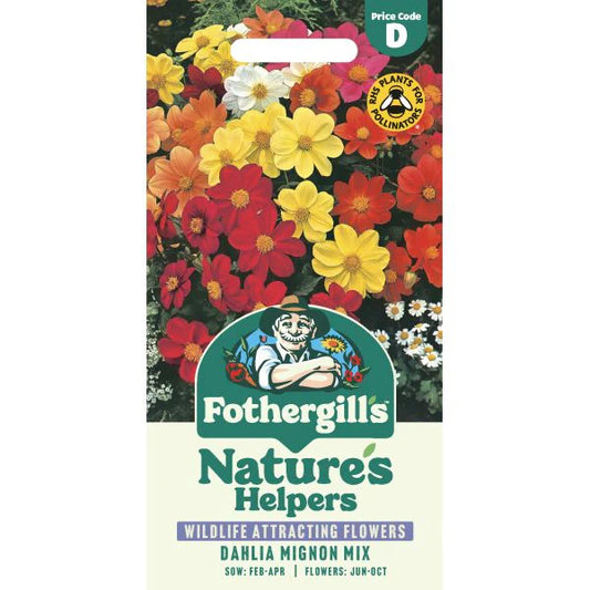 Fothergill's Dahlia Mignon Mixed Seeds