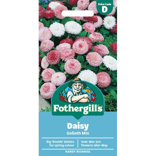 Fothergill's Bellis Goliath Mixed Seeds