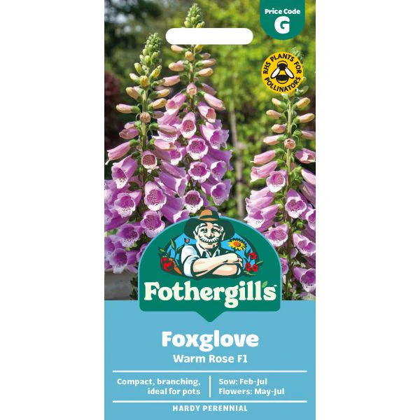 Fothergill's Foxglove Dottie Warm Rose F1 Seeds