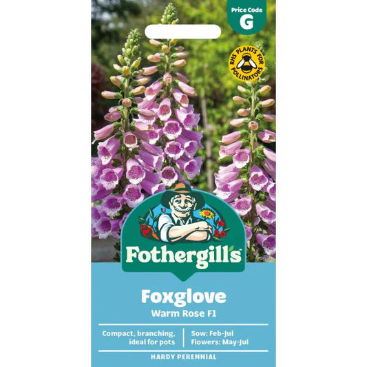 Fothergill's Foxglove Dottie Warm Rose F1 Seeds