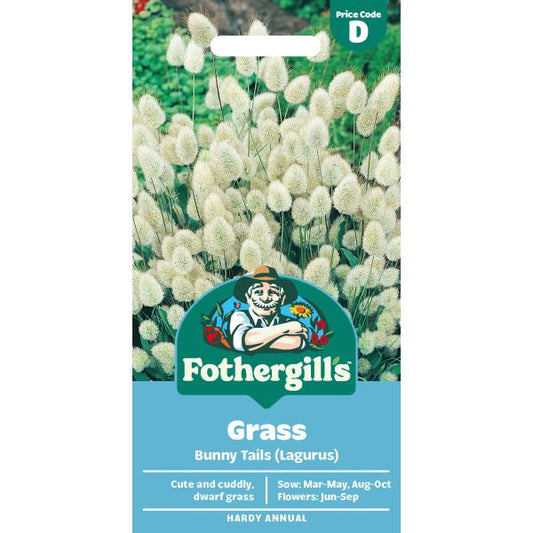 Fothergill's Bunny Tail Grass Seeds