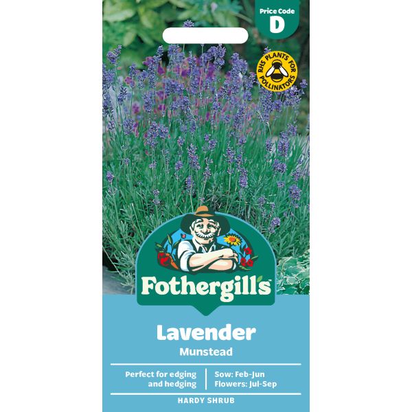 Fothergill's Lavender Munstead Strain Seeds