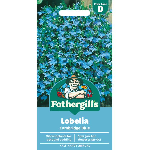 Fothergill's Lobelia Cambridge Blue Seeds
