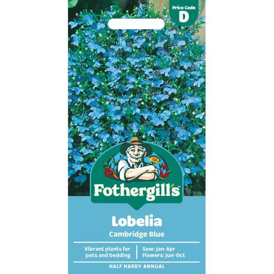 Fothergill's Lobelia Cambridge Blue Seeds