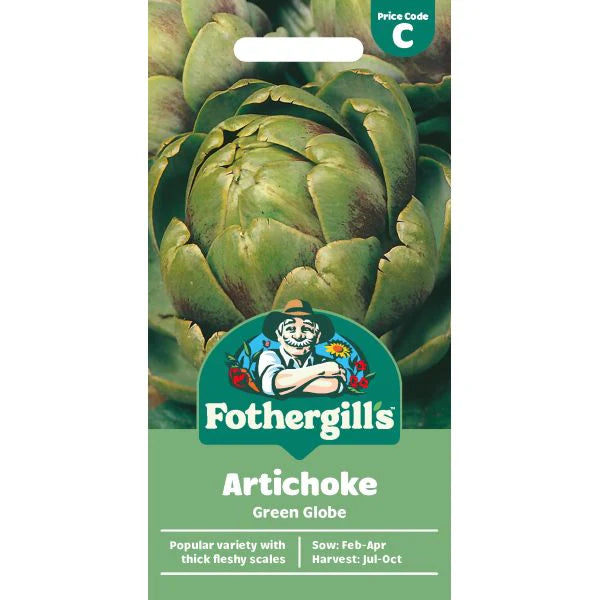 A mature Artichoke Green Globe plant showing a large, edible green head ready for harvest.