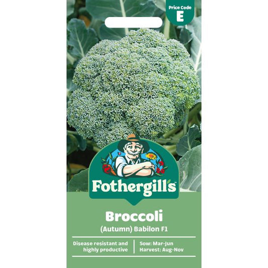Fothergill's Broccoli Babilon F1 Seeds
