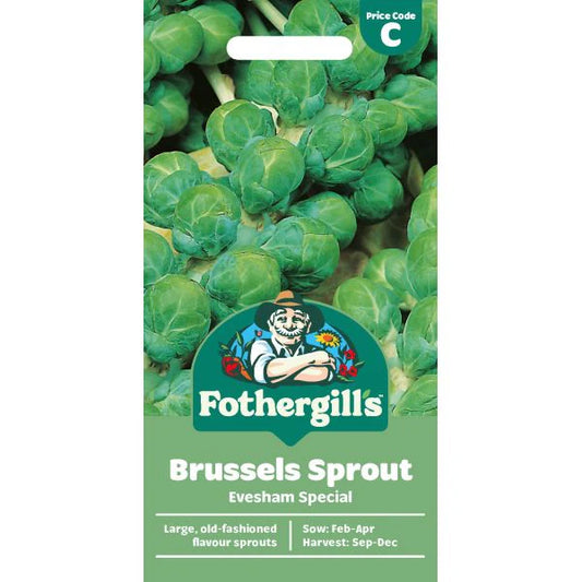 Fothergill's Brussels Sprout Evesham Special Seeds