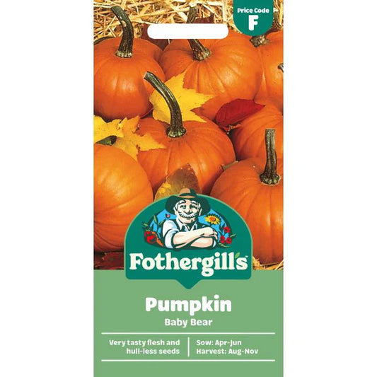 Fothergill's Pumpkin Baby Bear Seeds