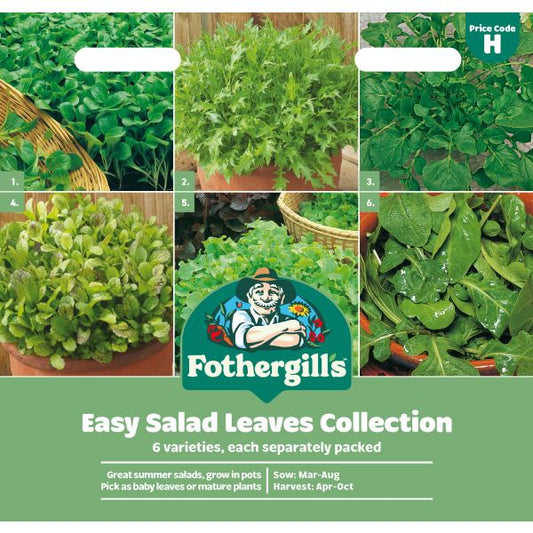 Fothergill's Salad Leaves Easy Seed Collection