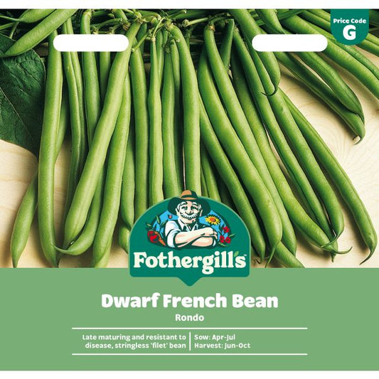 Fothergill's Dwarf Bean Rondo Seeds