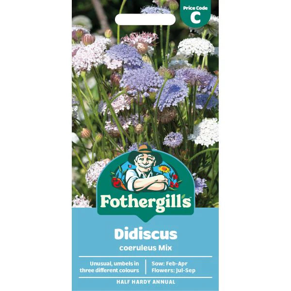 Fothergill's Didiscus Coeruleus Mix Seeds