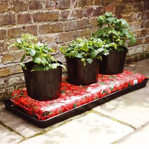 Stewart Garden Essentials Growbag Tray 100cm