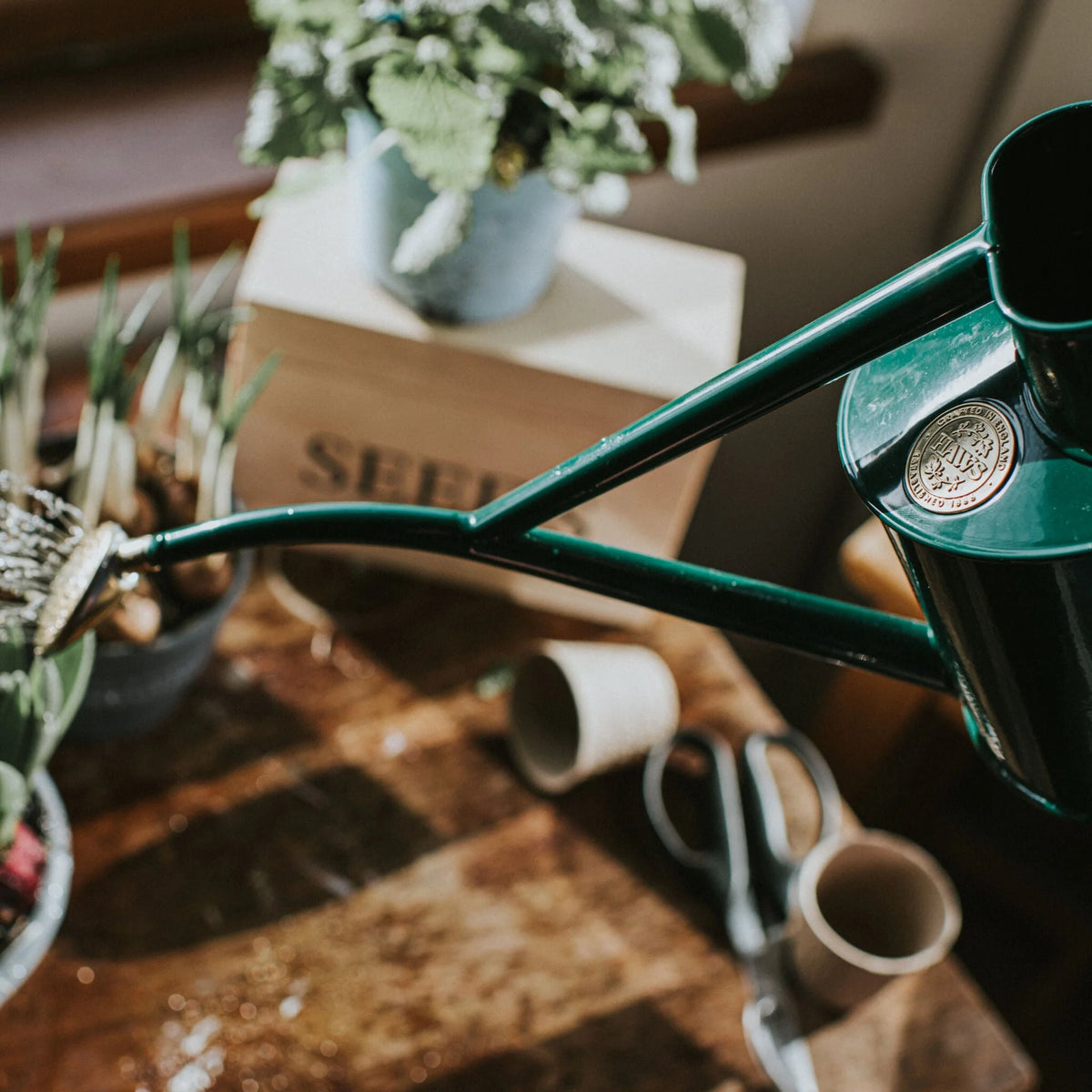 Haws The Rowley Ripple metal watering can with matching brass mist spritzer