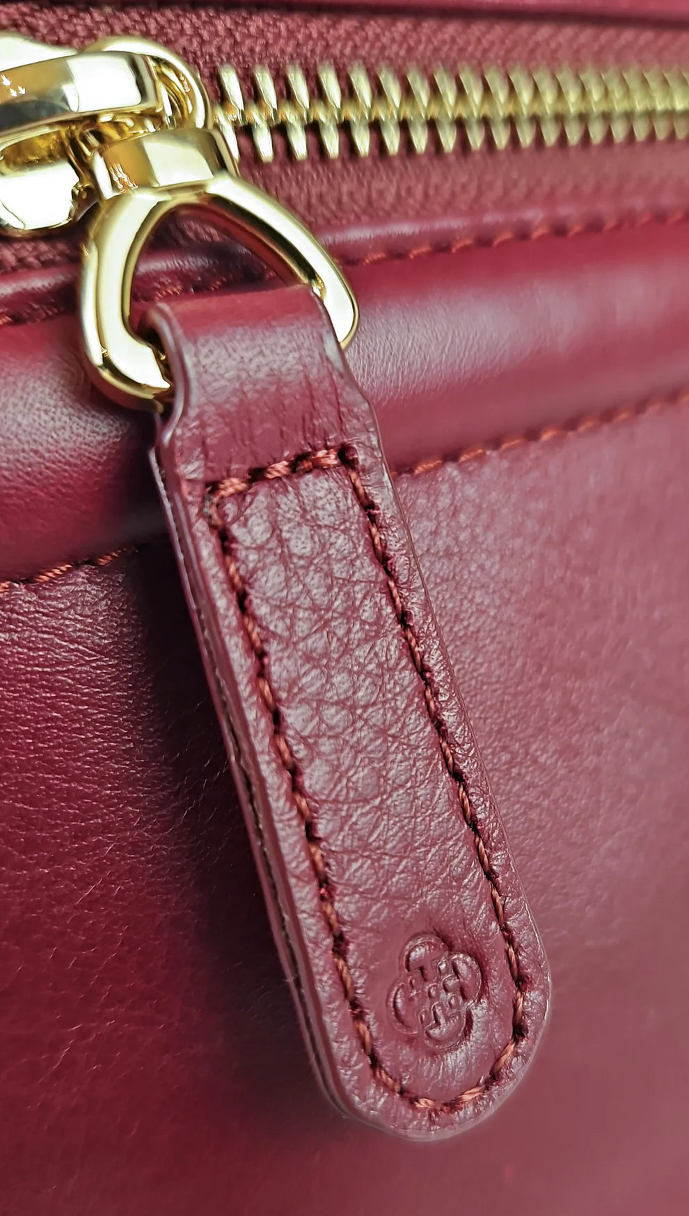 Saddler Ellen Crossbody Handbag