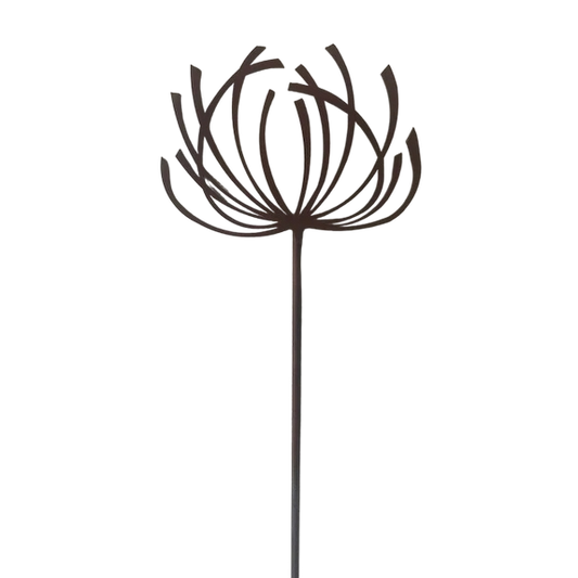 Poppy Forge Clematis Plant Pin