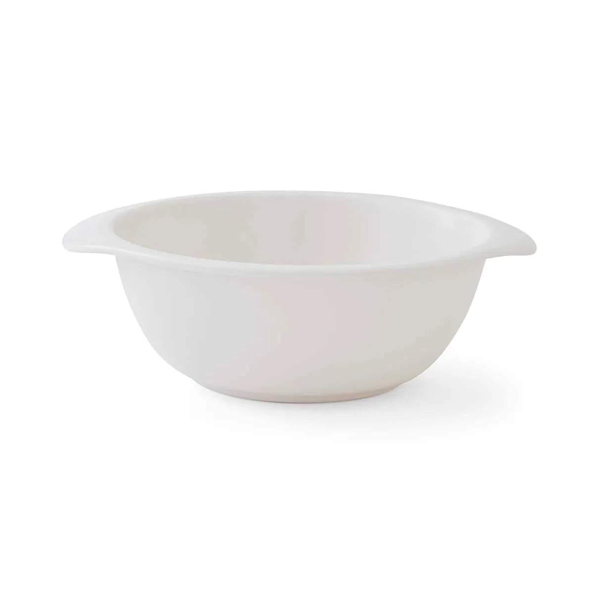 Mini Meirion Bowl - Dino